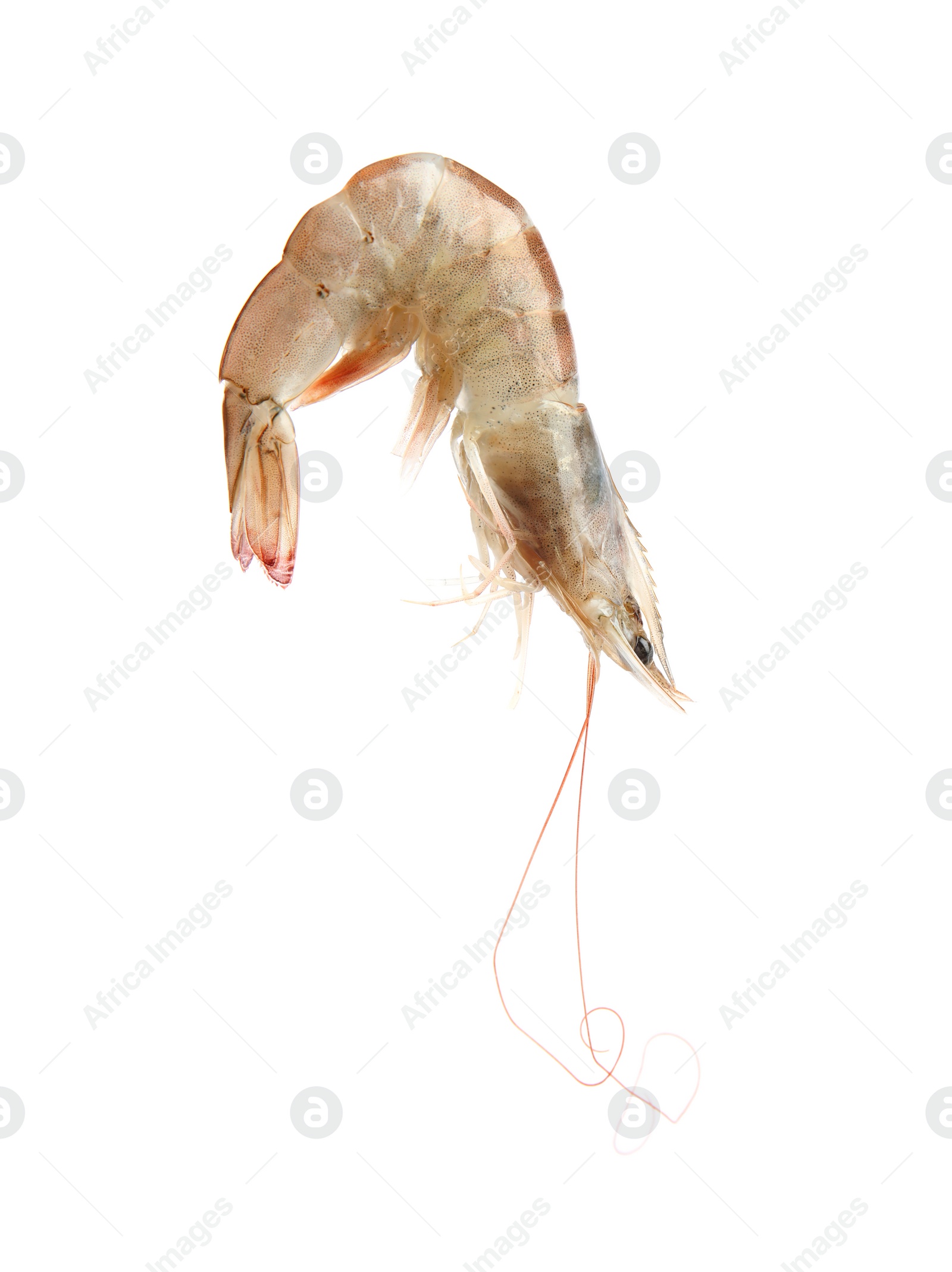 Photo of Fresh raw shrimp isolated on white. Healthy seafood