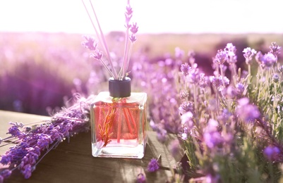 Photo of Reed air freshener with oil and fresh lavender flowers on wooden table in blooming field. Space for text