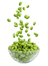 Image of Delicious edamame soybeans falling into bowl on white background