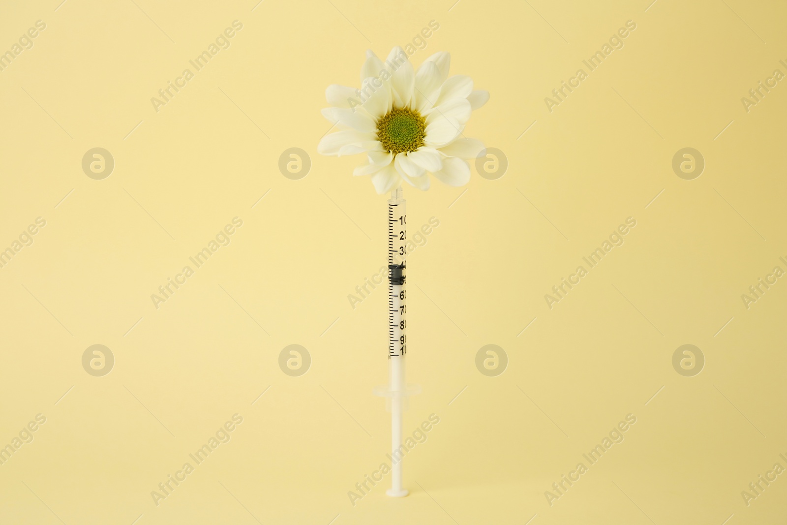 Photo of Medical syringe and chrysanthemum flower on pale yellow background