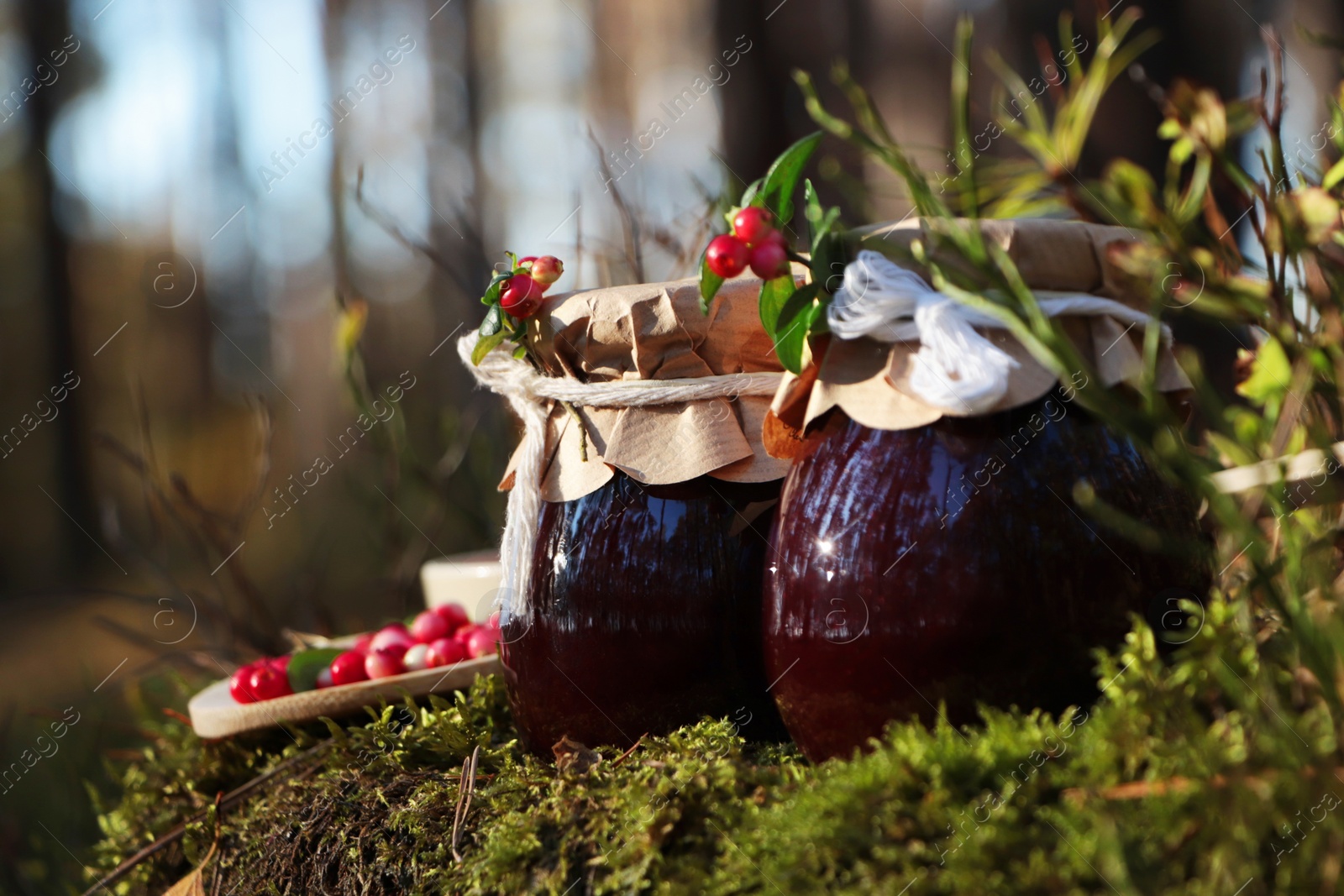 Photo of Jars of delicious lingonberry jam and red berries outdoors, space for text