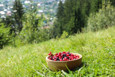 Photo of Bowl of fresh ripe berries on green grass