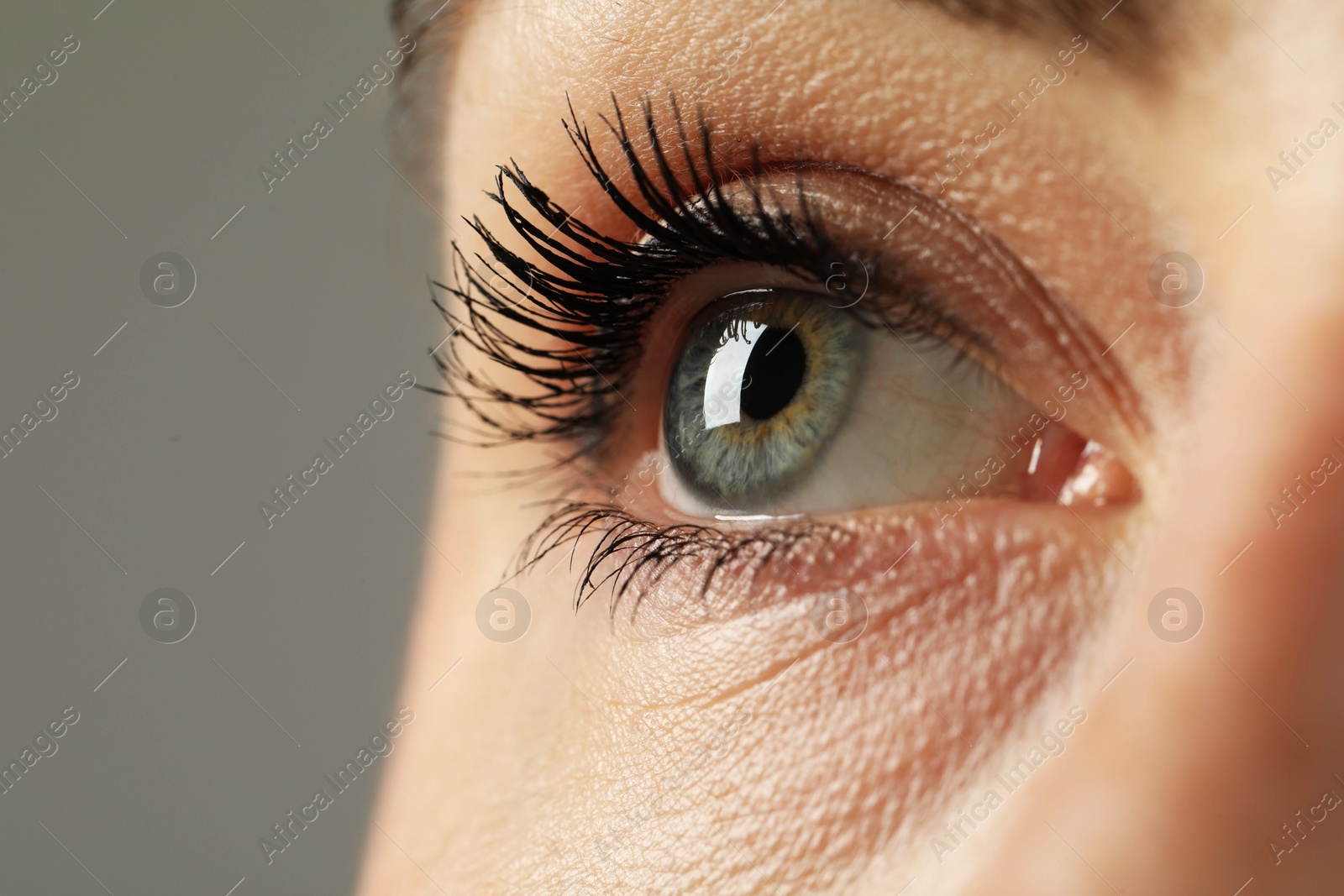 Photo of Macro photo of woman with beautiful eyes on grey background