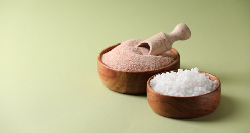 Photo of Different salt in bowls and scoop on green background, space for text