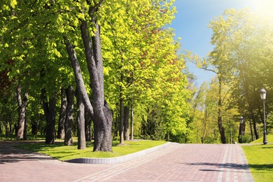 Photo of Picturesque view of beautiful park with fresh green grass and trees
