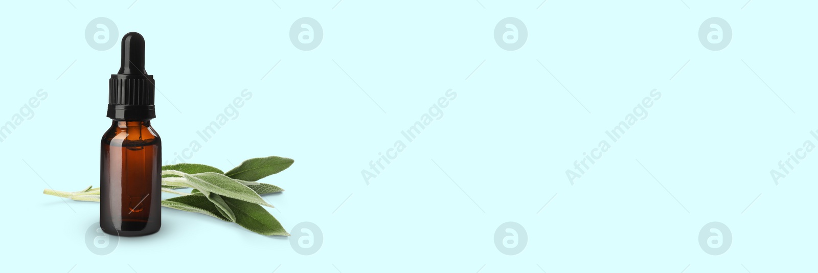 Image of Bottle of sage essential oil and green leaves on pale light blue background, space for text. Banner design