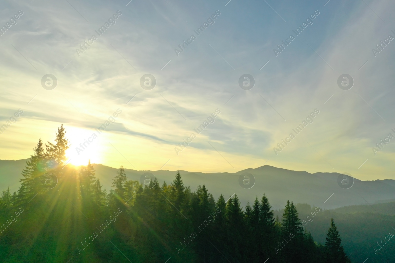 Photo of Aerial view of beautiful mountain landscape with green trees at sunrise