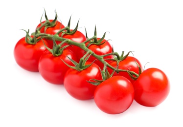 Branch of fresh cherry tomatoes isolated on white