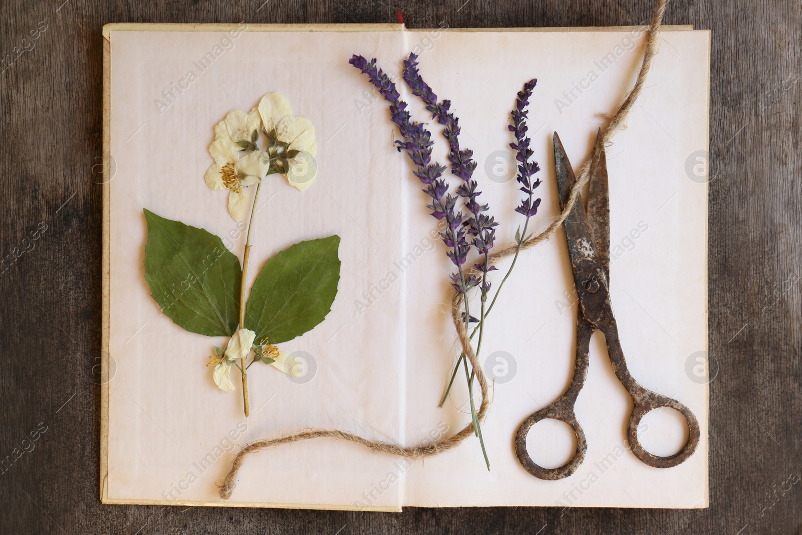 Photo of Open book with beautiful dried flowers, old scissors and twine on wooden table, top view