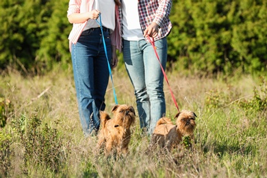 Owners walking their adorable Brussels Griffon dogs in park