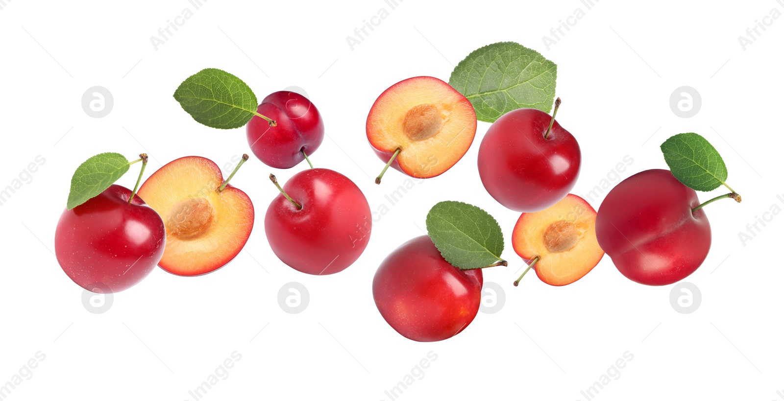 Image of Delicious ripe cherry plums with leaves falling isolated on white