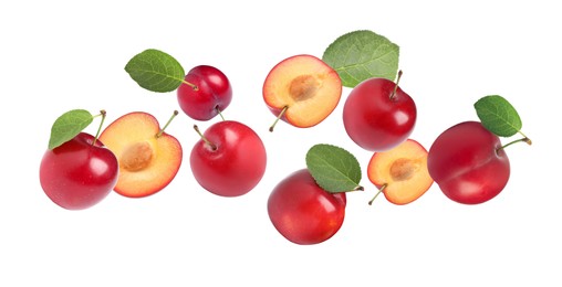 Delicious ripe cherry plums with leaves falling isolated on white