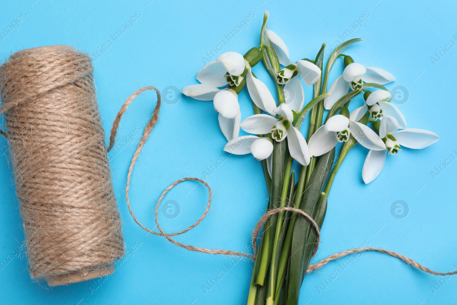 Photo of Beautiful snowdrops and twine on light blue background, flat lay