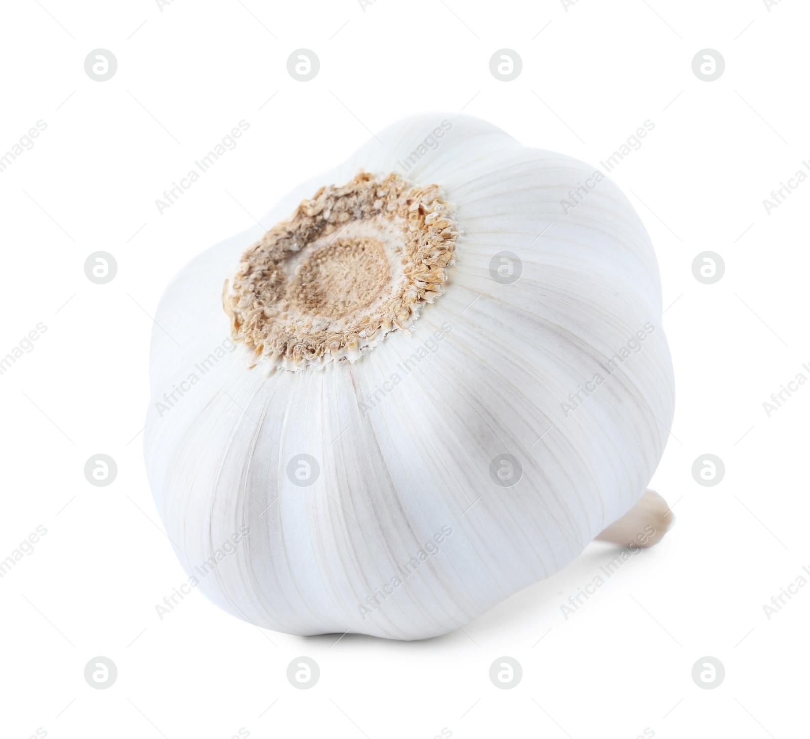 Photo of Fresh garlic on white background. Organic food