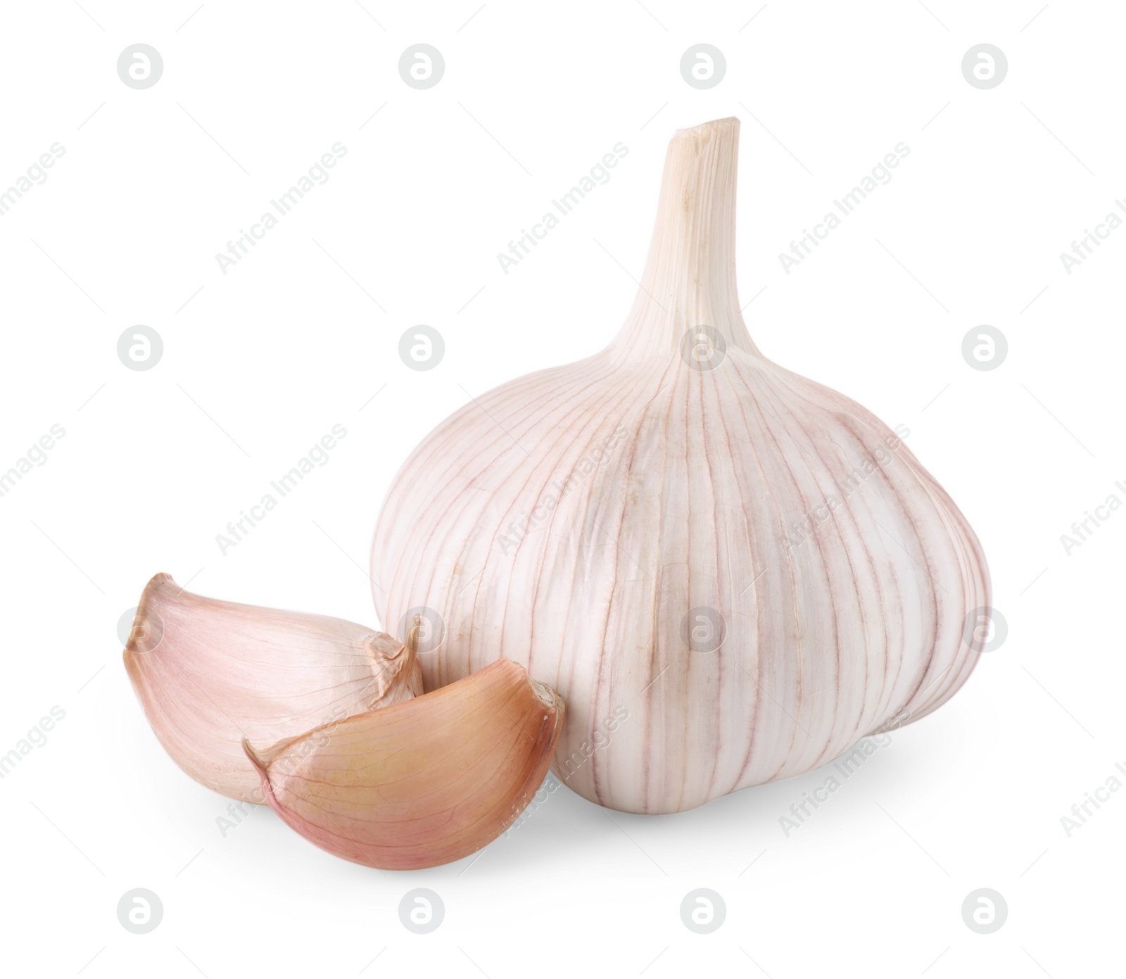 Photo of Head of fresh garlic and cloves isolated on white