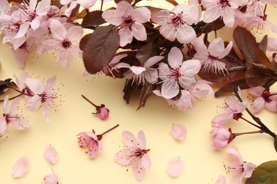 Photo of Spring tree branches with beautiful blossoms, flowers and petals on yellow background, flat lay