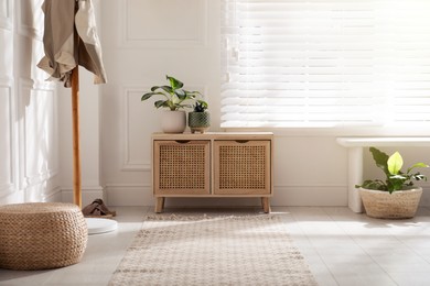 Stylish room interior with wooden chest of drawers and green plants