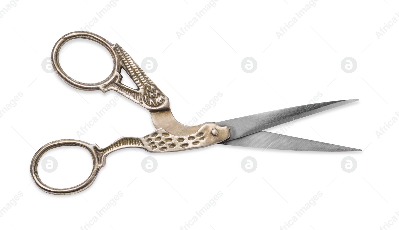 Photo of Beautiful scissors with bird shaped handles on white background, top view