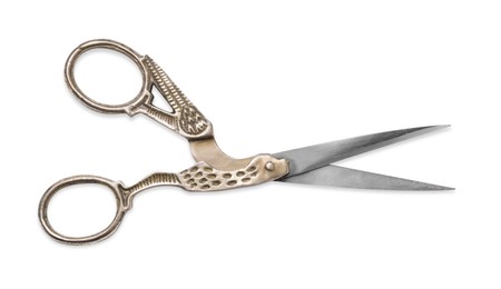 Photo of Beautiful scissors with bird shaped handles on white background, top view