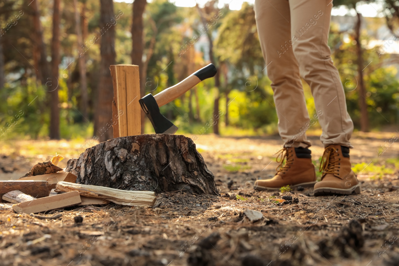 Photo of Man chopping firewood with axe in forest, closeup