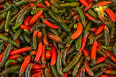 Photo of Heap of fresh Serrano peppers as background, top view