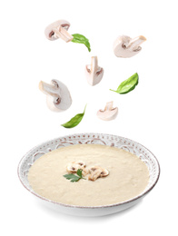 Image of Fresh mushrooms and basil falling into bowl with homemade soup on white background