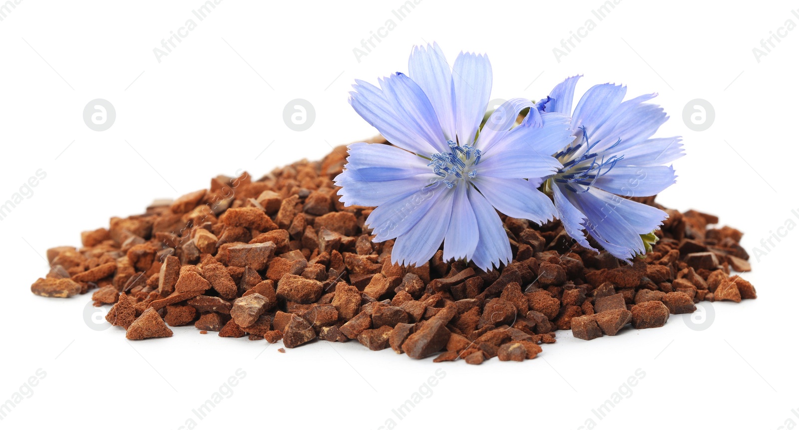 Photo of Pile of chicory granules and flowers on white background