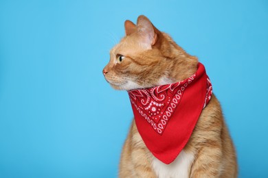 Cute ginger cat with bandana on light blue background, space for text. Adorable pet