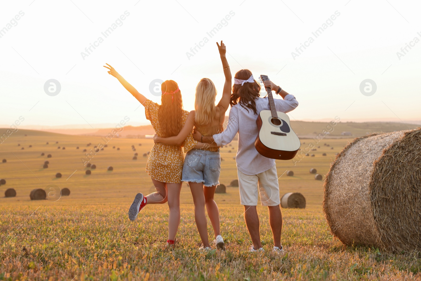 Photo of Hippie friends with guitar showing peace signs in field, back view