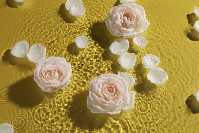 Photo of Beautiful roses and petals in water on pale yellow background, top view