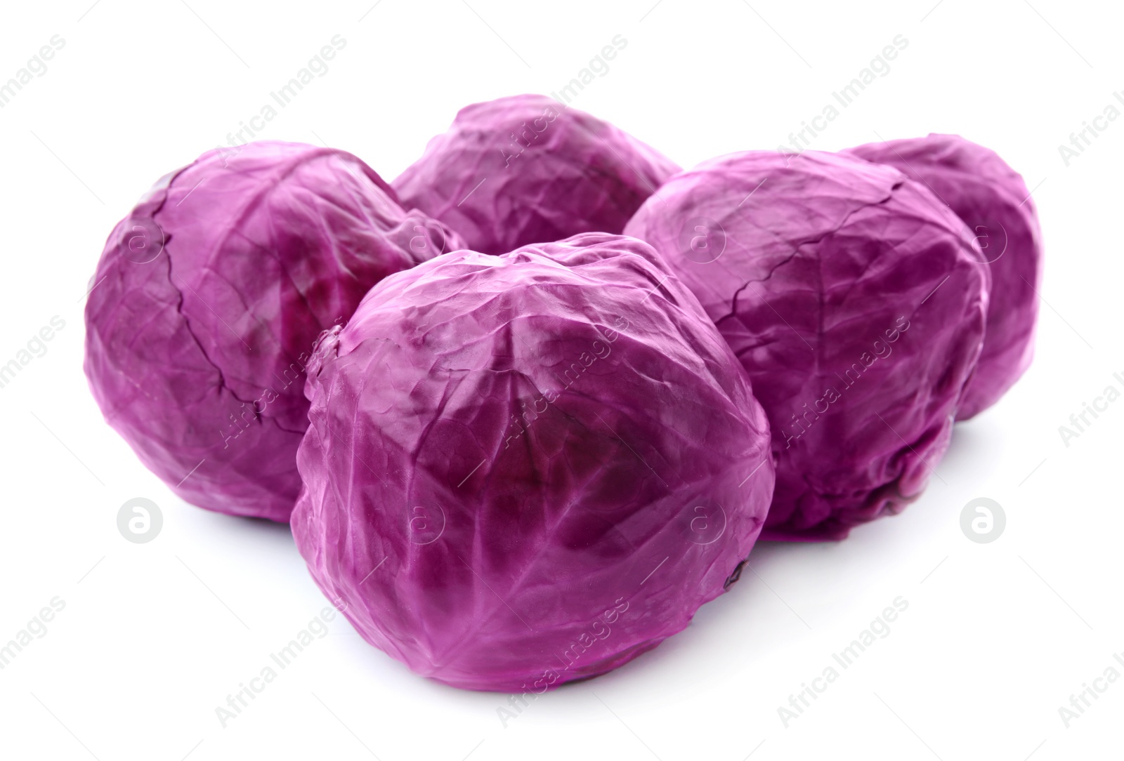 Photo of Whole ripe red cabbages on white background