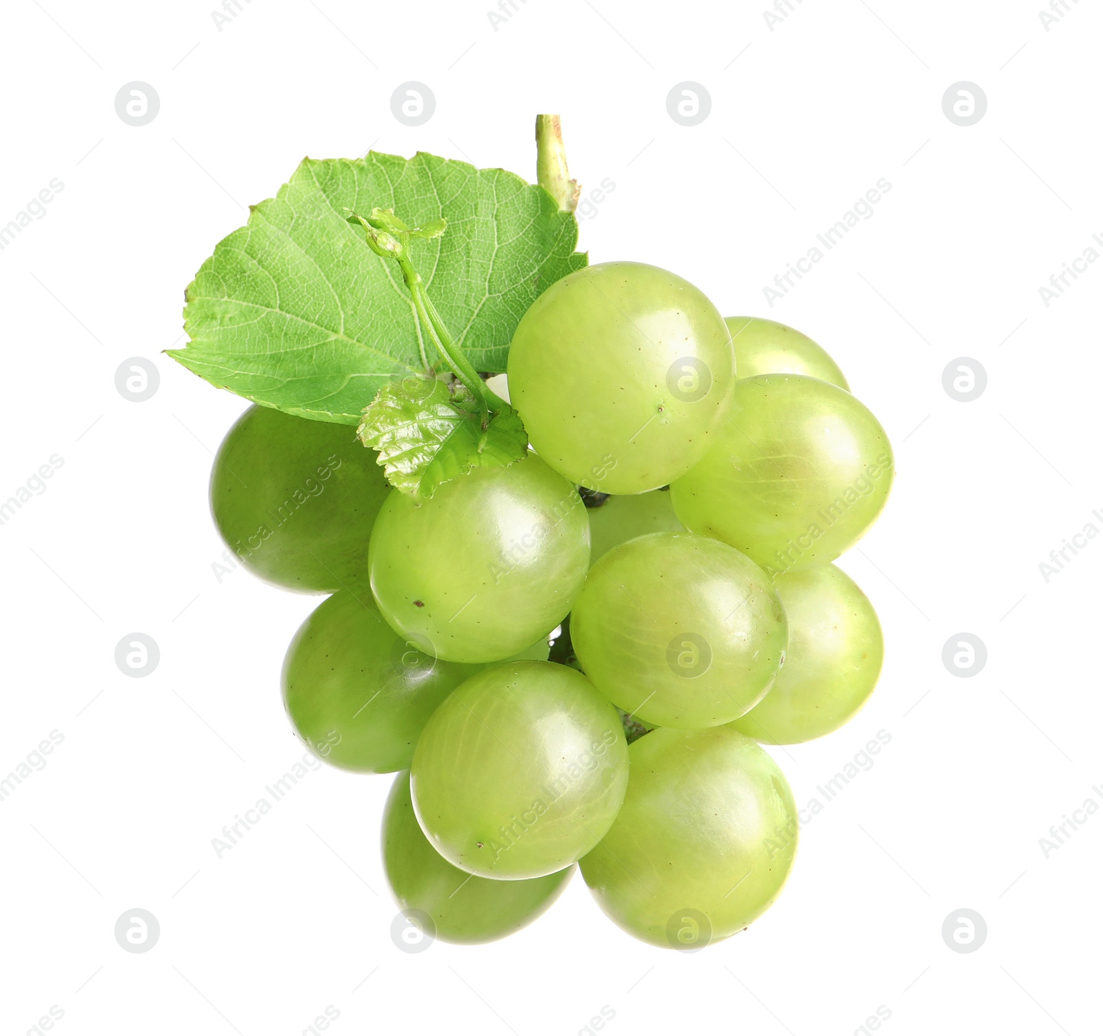 Photo of Fresh ripe juicy grapes isolated on white