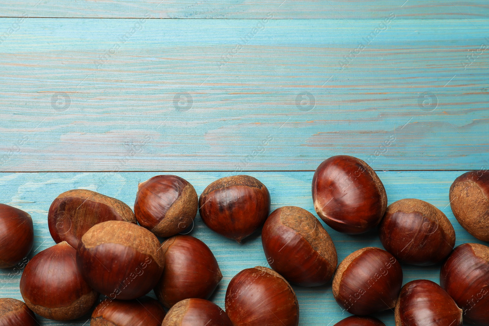 Photo of Roasted edible sweet chestnuts on light blue wooden table, flat lay. Space for text