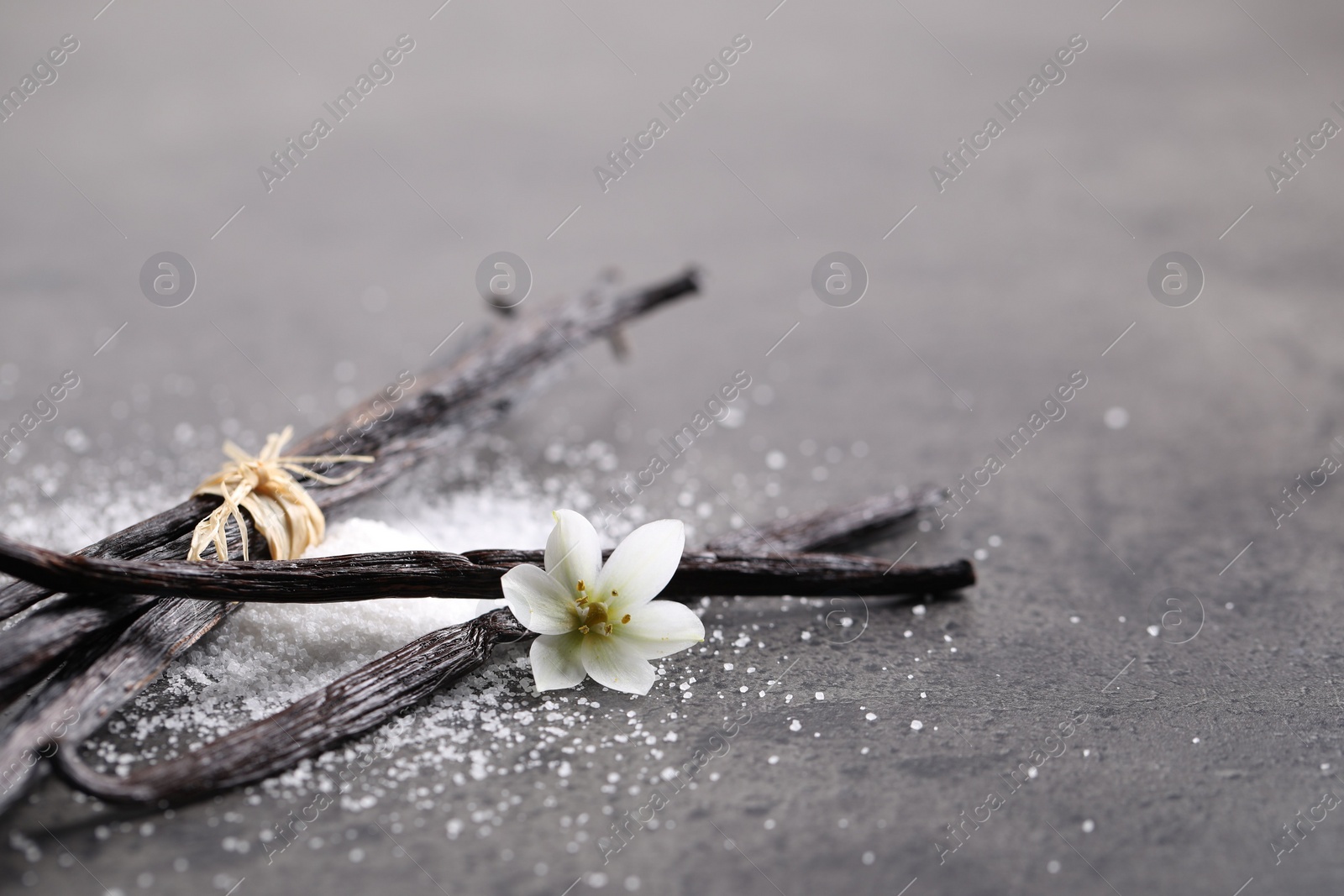 Photo of Vanilla pods, sugar and flower on gray table, closeup. Space for text