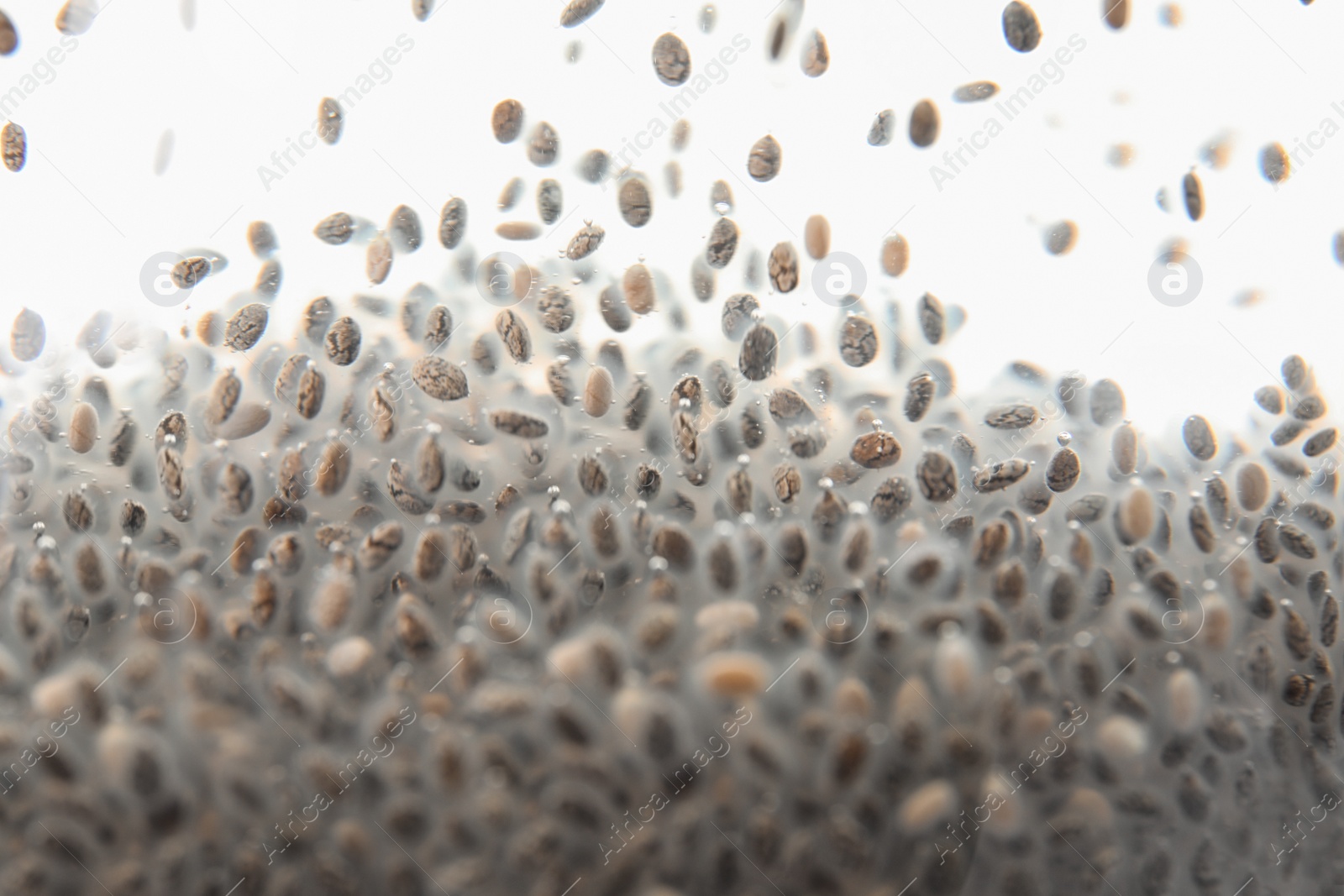 Photo of Chia seeds in water as background, closeup