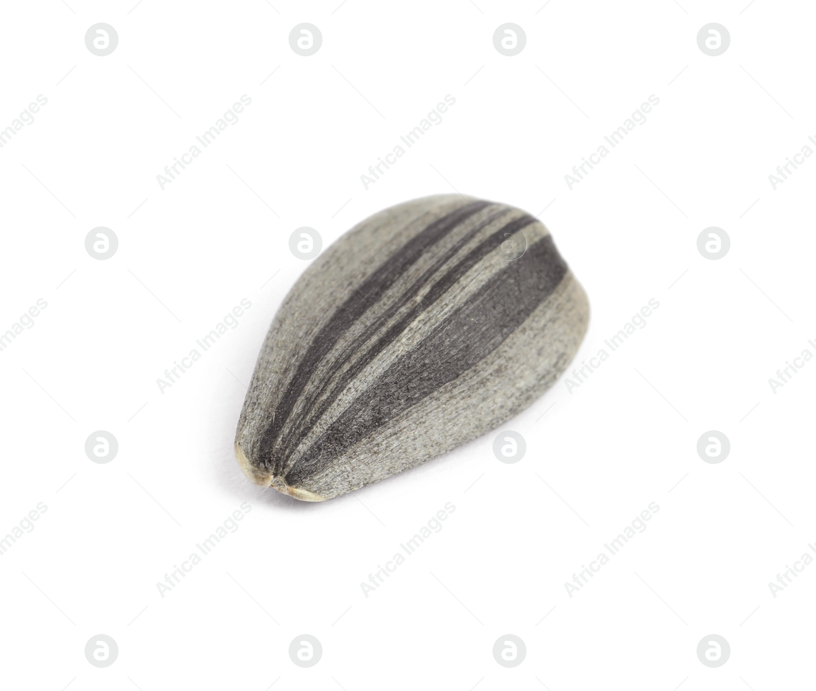 Photo of Raw organic sunflower seed isolated on white