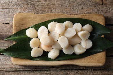 Fresh raw scallops on wooden table, top view