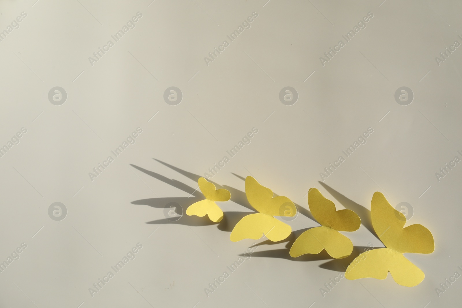 Photo of Yellow paper butterflies on light grey background, top view. Space for text