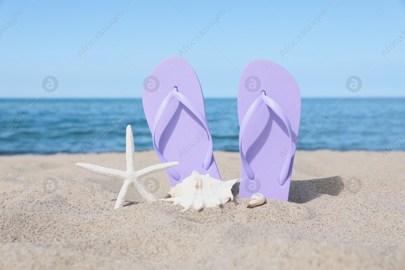 Photo of Stylish violet flip flops, starfish and seashells on beach sand