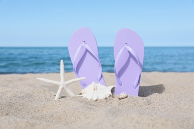 Photo of Stylish violet flip flops, starfish and seashells on beach sand