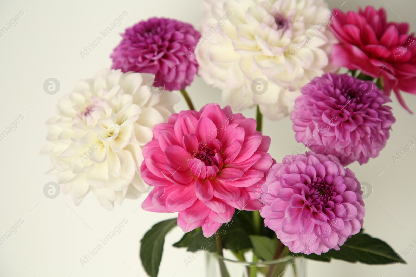 Photo of Bouquet of beautiful Dahlia flowers near white wall, closeup