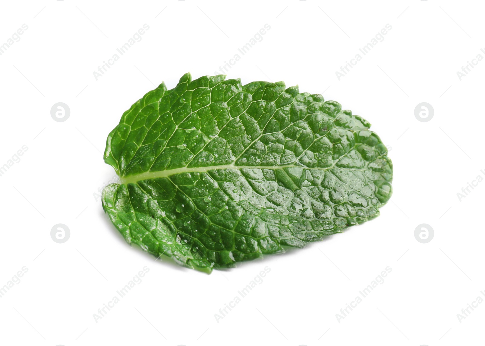 Photo of Fresh green mint leaf on white background