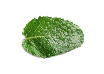 Photo of Fresh green mint leaf on white background