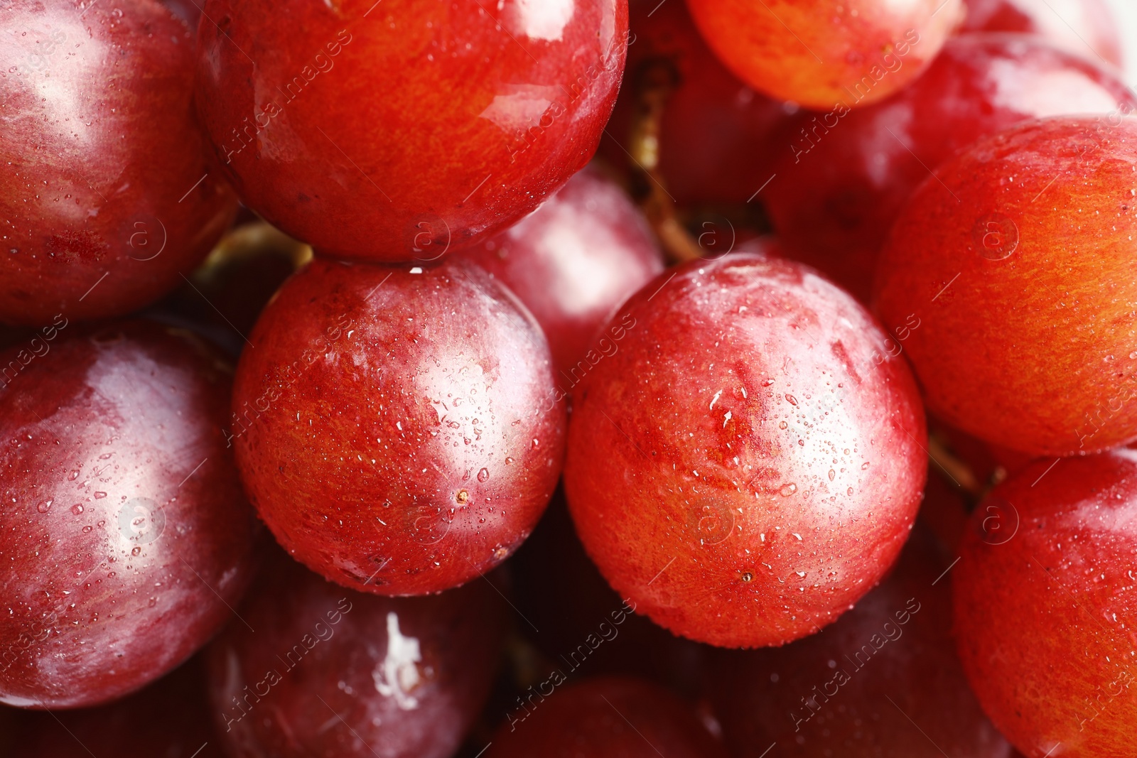 Photo of Bunch of red fresh ripe juicy grapes as background. Closeup view