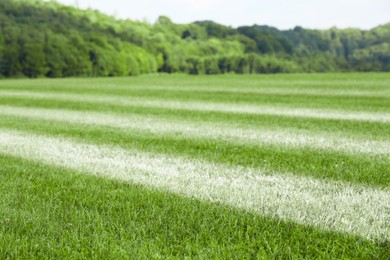 Bright green grass with white markings outdoors