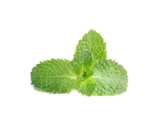 Fresh green mint leaves on white background