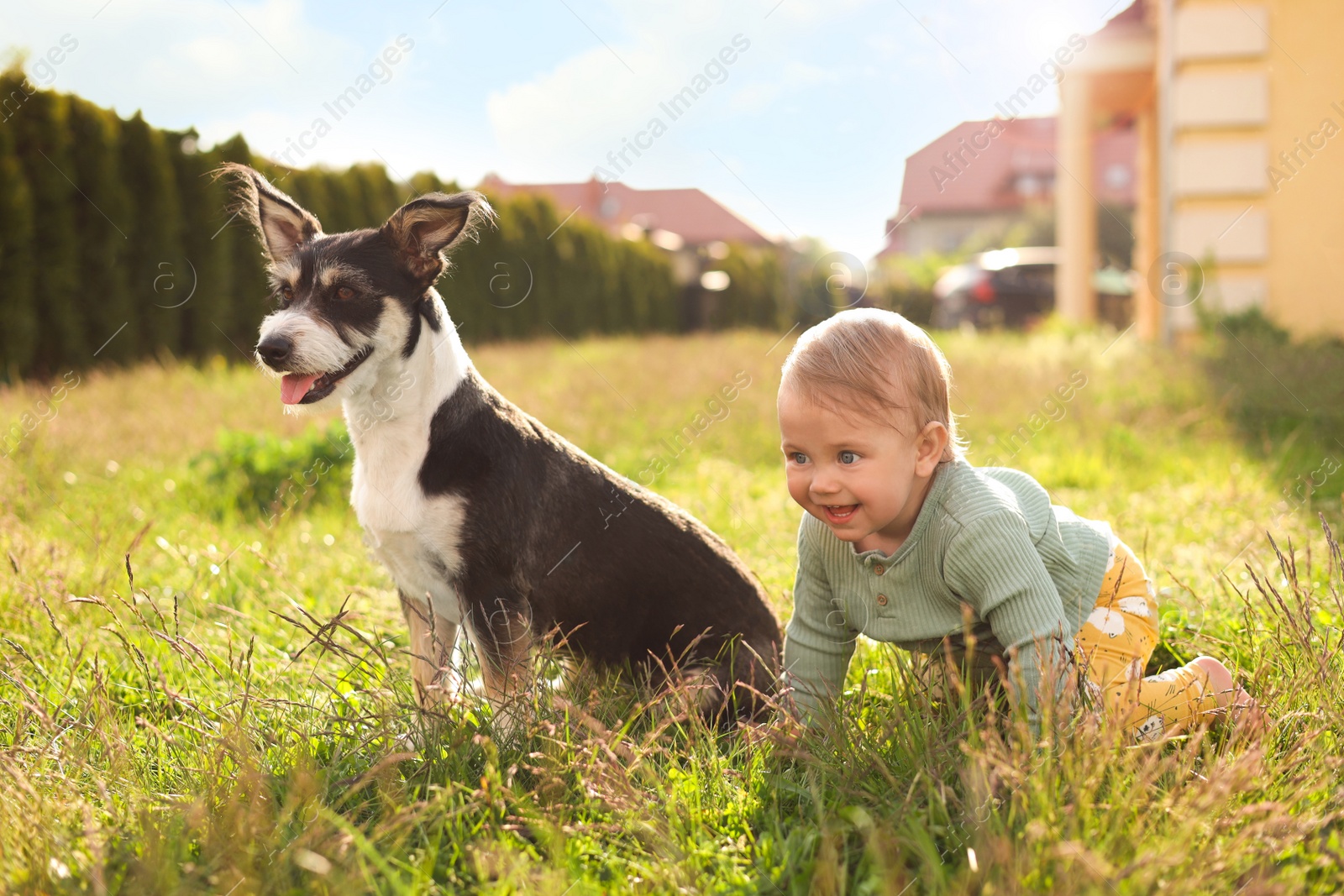 Photo of Adorable baby and furry little dog on green grass outdoors