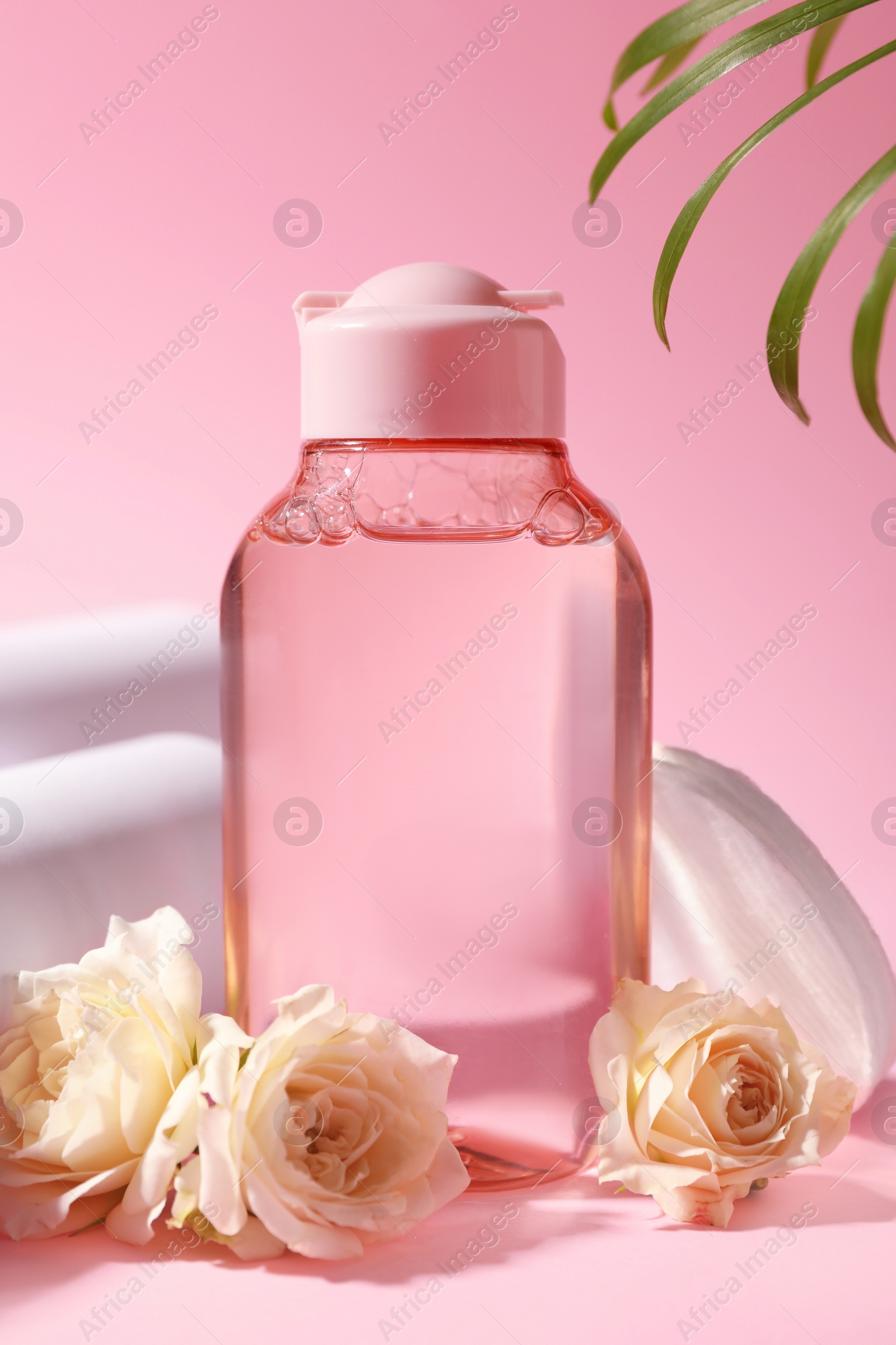 Photo of Bottle of micellar water, roses and cotton pads on pink background