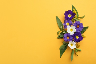 Photo of Primrose Primula Vulgaris flowers on yellow background, flat lay with space for text. Spring season
