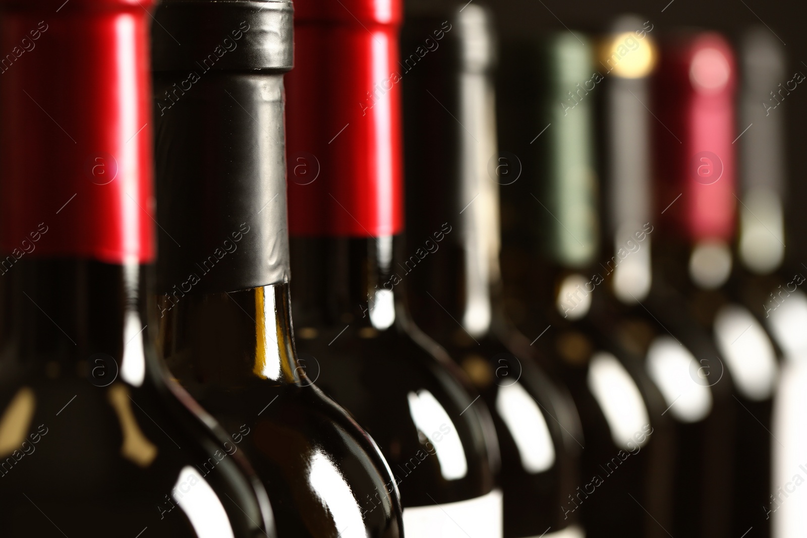 Photo of Bottles of different wines, closeup. Expensive collection